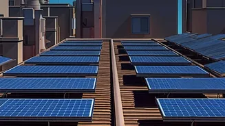 Why Squid Ink Bio-Synthetic Melanin Is Being Used To Guard Renewable Solar Infrastructure