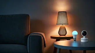 Budget Smart Home Gadgets Gain Massive Traction