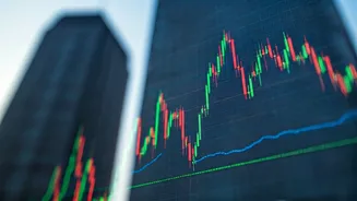 Navigating the Indian Market: Key Investment Insights