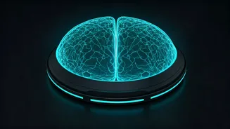 Meta's Brain AI Makes Non-Invasive Decoding More Serious