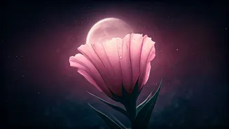 April 2026 Pink Moon: Cosmic Guidance & Rituals for Every Zodiac Sign