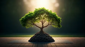 Vrikshasana: Unlock Remarkable Physical & Mental Benefits of Tree Pose