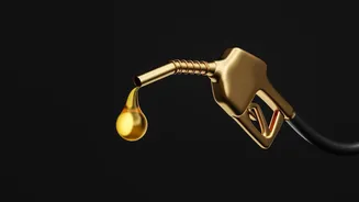 Govt imposes export tax on petrol for first time as West Asia war keeps oil prices high