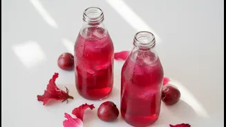 Café Beverage Trends Show Growing Love for Hibiscus and Kokum Sparkling Drinks