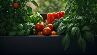 Edible Gardens Are Back In Indian Homes
