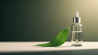 Skin Fasting: Unpacking Mira Kapoor's Trend & Dermatologist Insights