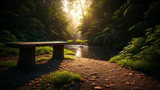 Navigating Stress: Mental Wellness in a Changing World