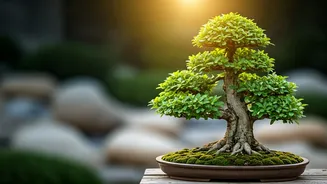 Navigating Life's Ups and Downs: Resilience and Well-being