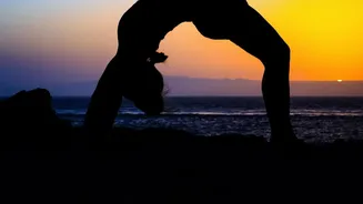 How Yoga Enhances Body Flexibility Simple Daily Asanas Every Beginner Can Learn