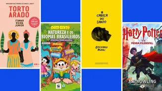 Veja o ranking dos mais emprestados do MEC Livros, com ‘Torto Arado’, ‘Harry Potter’ e ‘Chico Bento’ na lista