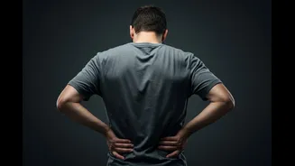 The Importance Of Posture And Spinal Wellness In The Modern Lifestyle