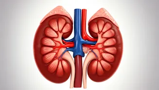 Kidney Health: 8 Steps to a Healthier You