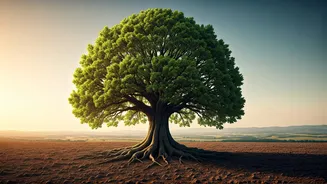 Why Long-Term Investors Stay Ahead