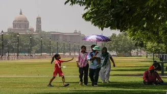 'Take precautions': PM Modi urges citizens to stay hydrated as heatwave grips India