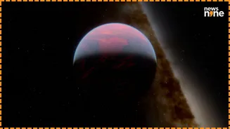 What we learned about life in universe in 2025