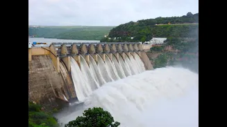 52% Rainfall Deficit During Southwest Monsoon Impacts Andhra Pradesh Agriculture
