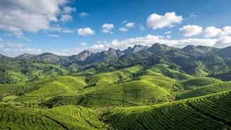 September Hill Getaways: Weather-Smart Planning For Indian Tourists