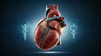 Related Stories banner