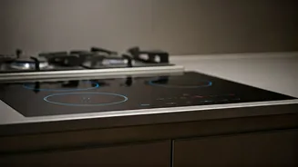 Noida Restaurant Pivots to Induction Cooking Amidst LPG Supply Woes