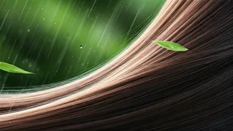 Monsoon Hair Fall Remedies: Fix Shedding In Peak Humidity
