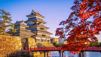 How To Get Japan Visa From India: All The Rules You Need To Know Before Visiting Tokyo, Kyoto And Mt Fuji