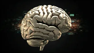 Human Skills Are The New Fresher Differentiator