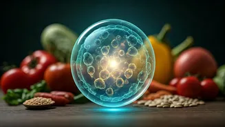 Gut Balance And Immunity Shape 2026 Diets