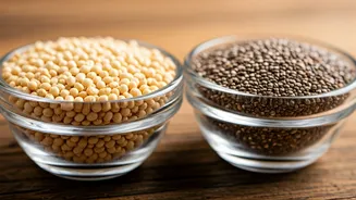 Isabgol vs Chia Seeds: A Fiber Face-Off