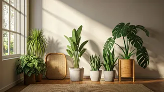 7 Easy Biophilic Design Tips To Refresh Your Indian Apartment