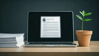 Refresh Your CV And Future This Mid-Year