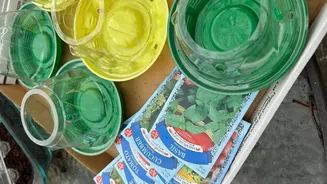 Creative Recycling Tips to Save Money on Gardening Supplies