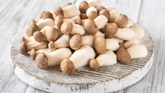 Try these recipes using trumpet mushrooms