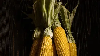 Monsoon Flavours Feel Complete With Fresh Roasted Corn