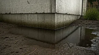Don't Ignore Water Collecting Around Your House