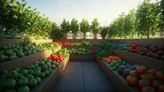 Why The Terrace Gardening Revolution Is Crucial For Food Safety