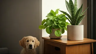 Plant Decor Needs To Be Animal-Safe Now