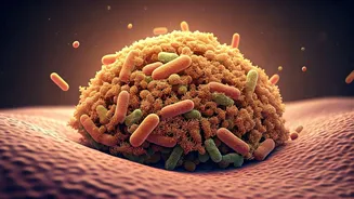 Gut Health Makes Fibre Impossible To Ignore