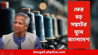 Bangladesh News : বাংলাদেশে এবার আরেক মহাসঙ্কট ! যদি না ভারত থেকে ....তালা ঝুলতে পারে শয়ে শয়ে সুতো কারখানার