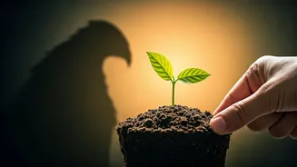Mis-Selling Can Hurt First-Time Investors Fast