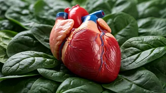 Heart Health: Keeping Your Heart Happy and Strong