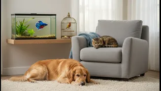 Study Suggests Different Pets May Help People Cope With Stress Differently
