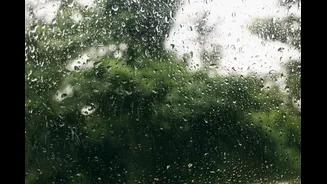How to Prevent Mould During India's Rainy Season