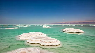 Defy Gravity: The Astonishing Buoyancy of the Dead Sea
