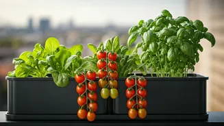 How Urban Families Reduce Monthly Grocery Expenditures Via Home Farms