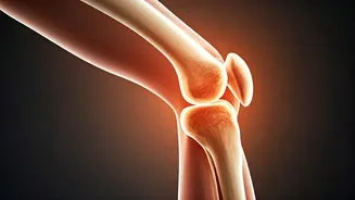 Prioritize Long-Term Joint Flexibility Over Extreme Powerlifting Routines Now