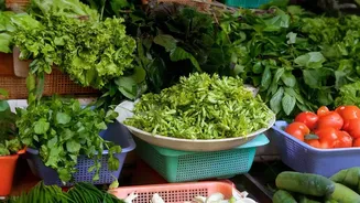 Smart Lunchbox Planning Starts With Seasonal Vegetables Available At Local Markets
