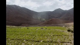 Himachal Pradesh to Share 50% Interest Burden on Overdue Farm Loans