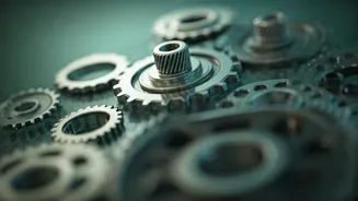 India's Job Market: Beyond Tech & AI's Rise