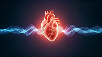 Beyond Exercise and Diet: Cardiologist Urges Focus on Rest & Metabolism for True Heart Health