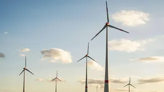 Climate Scientists Are Expanding AI's Role In Environmental Research